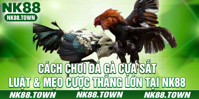 Cách Chơi Đá Gà Cựa Sắt - Luật & Mẹo Cược Thắng Lớn Tại NK88