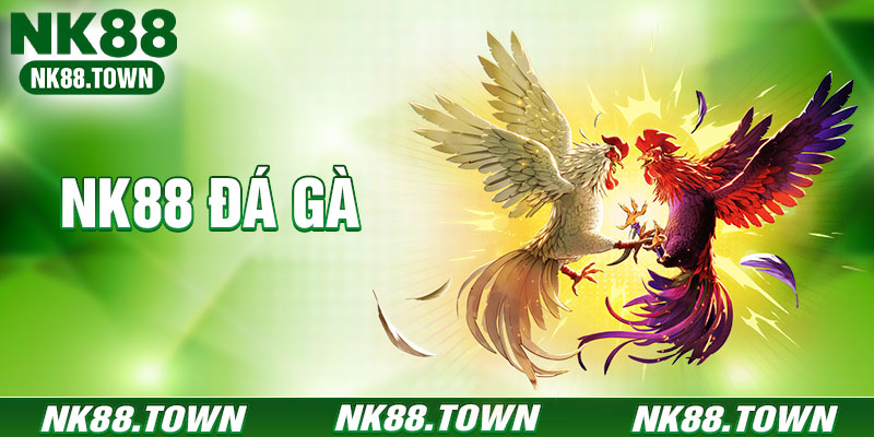 Đá Gà NK88 - Trực Tiếp Thomo, Cựa Sắt Đỉnh Cao 2026